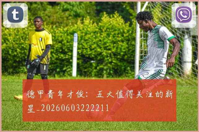德甲青年才俊:五大值得关注的新星_20260603222211